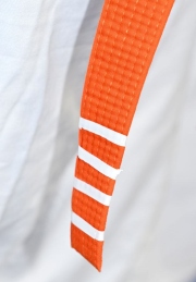 Romanellis-International-MA-1