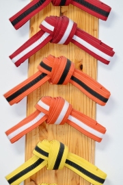 Romanellis-International-MA-Belts-2