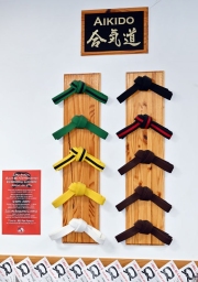 Romanellis-International-MA-Belts-3