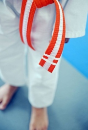 Romanellis-International-MA-Belts-4